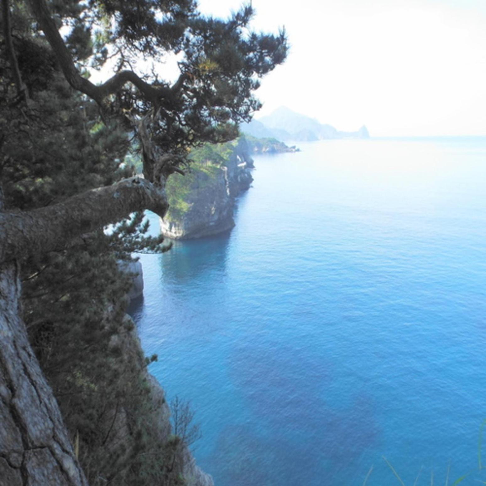 Beauty&Spa Resort Izu 頬杖の刻 Buitenkant foto